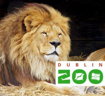 This years Family Day Out is to Dublin Zoo!