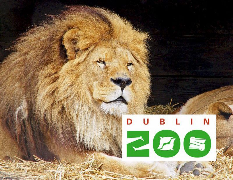 This years Family Day Out is to Dublin Zoo!